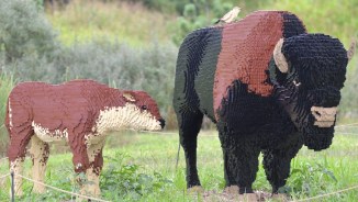 lego-bison